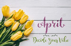 April hand lettering calligraphy. Yellow tulips bunch on white wooden planks rustic barn rural table background.